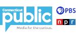 Logo for CTPublic